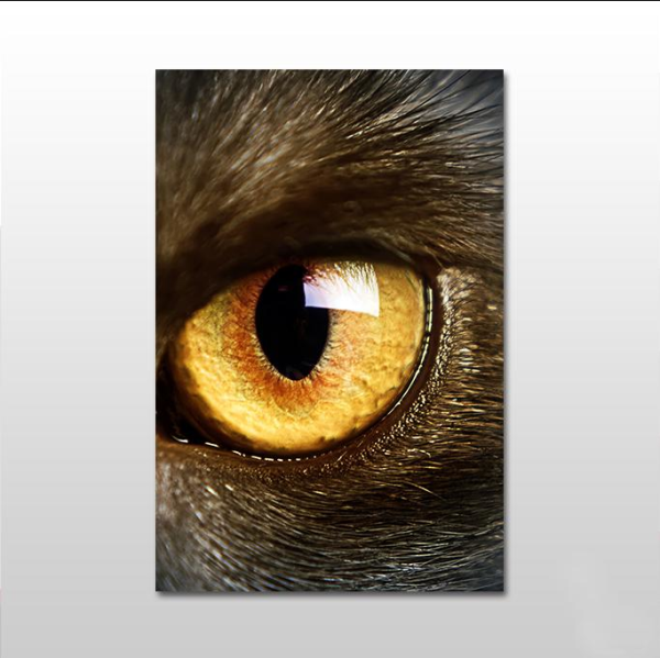 Tek Göz Kanvas Tablo