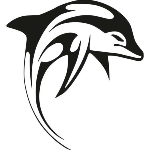 BALIK FOLYO STİCKER