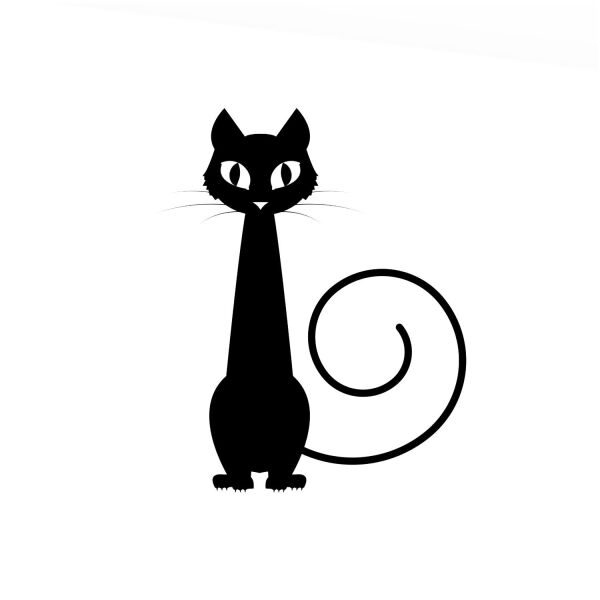 KEDİ FOLYO STİCKER