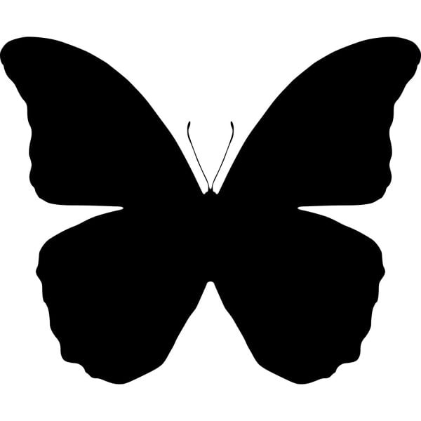 KELEBEK FOLYO STİCKER