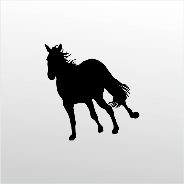 Folyo Sticker At