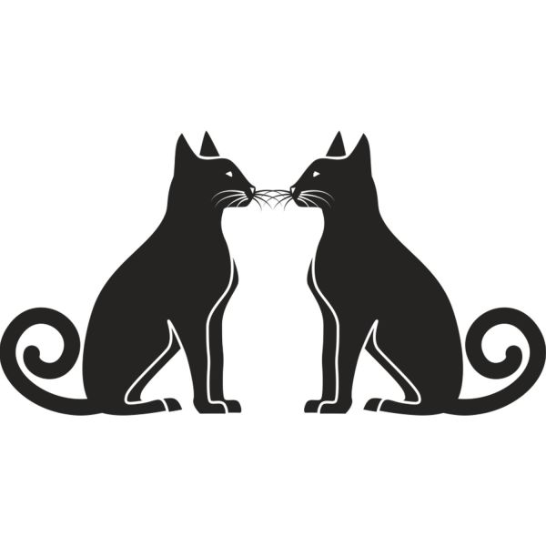 KEDİ FOLYO STİCKER