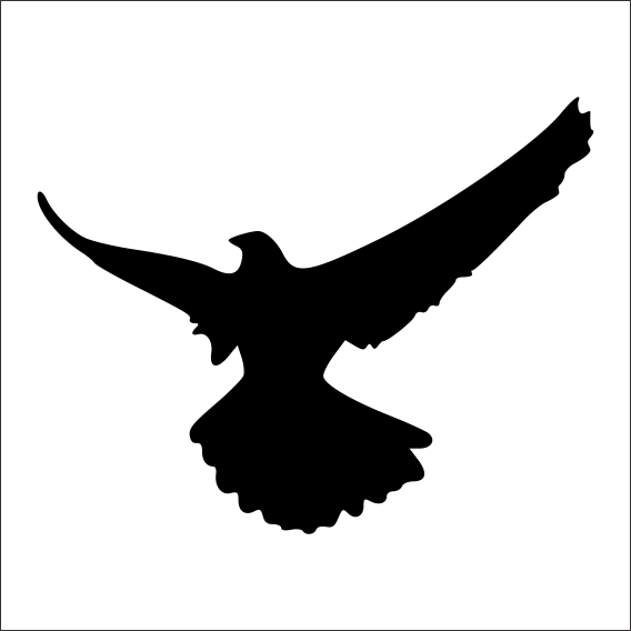 KARTAL FOLYO STİCKER DERSTV744