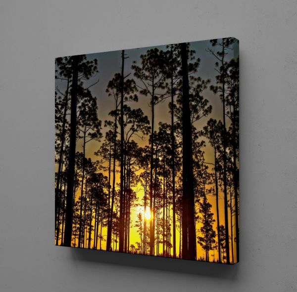 AĞAÇLAR KANVAS TABLO