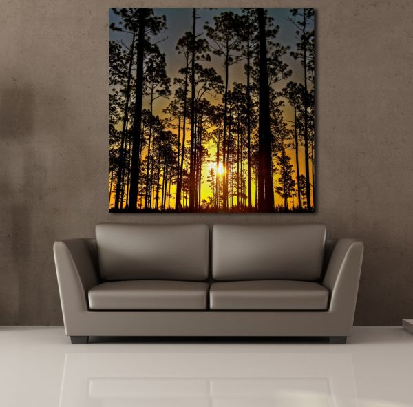 AĞAÇLAR KANVAS TABLO