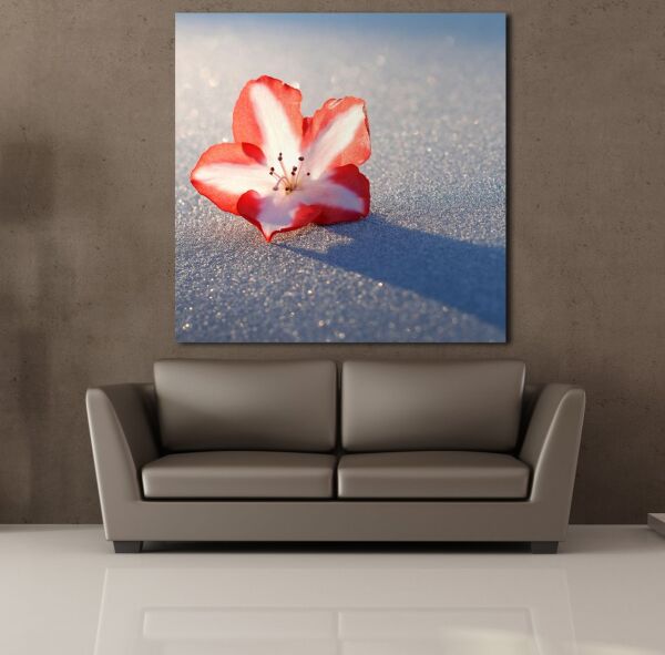 KIRMIZI BEYAZ ÇİÇEK TANESİ KANVAS TABLO