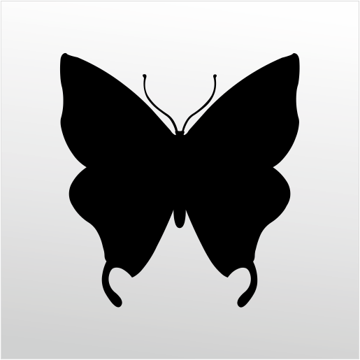 Folyo Sticker Kelebek ADKPQUY677