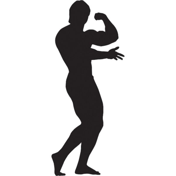 BODY GYM FOLYO STİCKER DERSTV1090