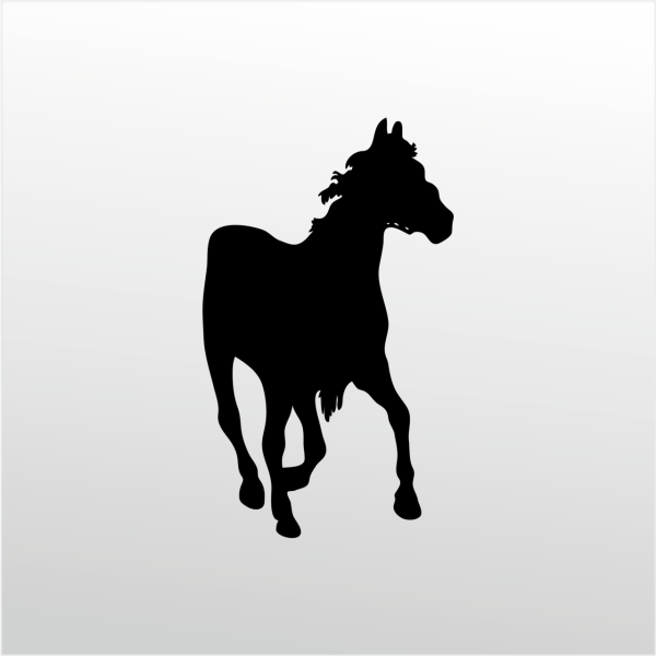 Folyo Sticker At
