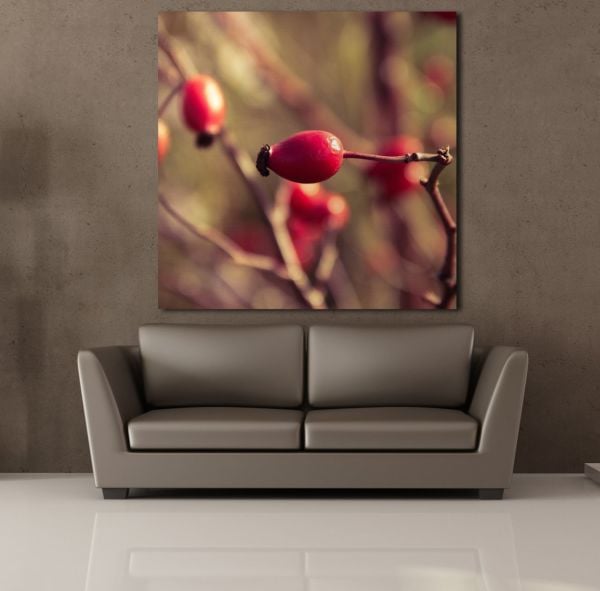 KUŞBURNU KANVAS TABLO