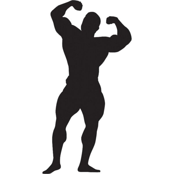 BODY GYM FOLYO STİCKER DERSTV1092