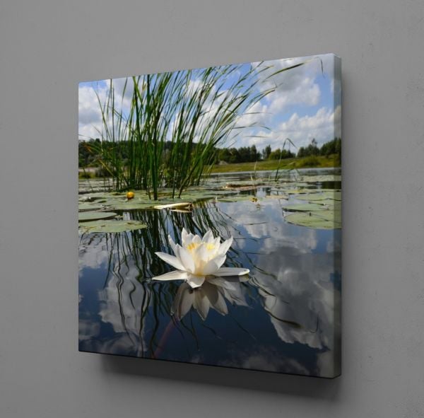 AKARSUDAKİ ZAMBAK KANVAS TABLO