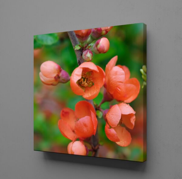 NAR ÇİÇEK AÇMIŞ KANVAS TABLO