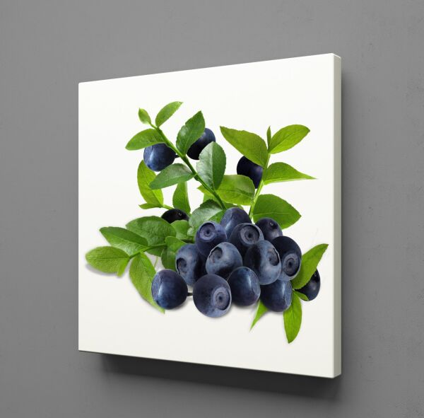 YABAN MERSİNİ KANVAS TABLO