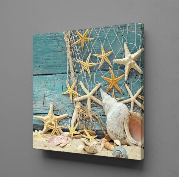 DENİZ KABUKLARI VE YILDIZI KANVAS TABLO