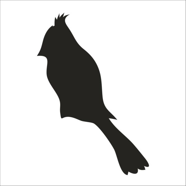 KUŞ FOLYO STİCKER DERSTV919