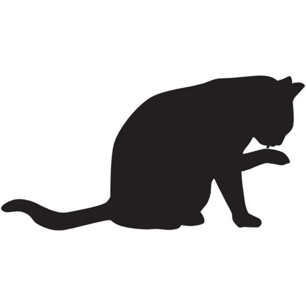 KEDİ FOLYO STİCKER