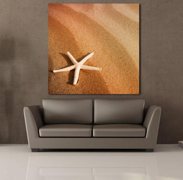 DENİZ YILDIZI KANVAS TABLO
