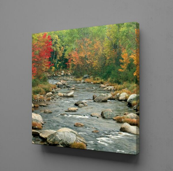 DEREDEKİ TAŞLAR KANVAS TABLO