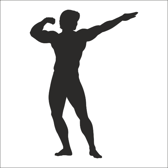 BODY GYM FOLYO STİCKER DERSTV1098