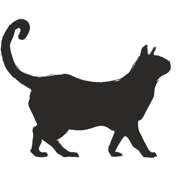 KEDİ FOLYO STİCKER