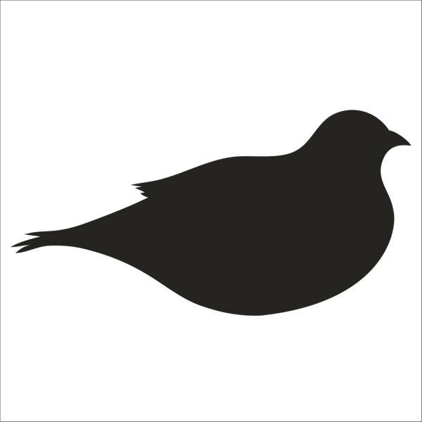 KUŞ FOLYO STİCKER DERSTV923