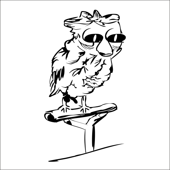 BAYKUŞ FOLYO STİCKER