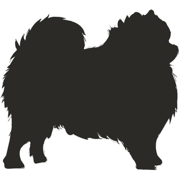 KÖPEK FOLYO STİCKER