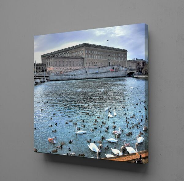 KUĞULAR KANVAS TABLO