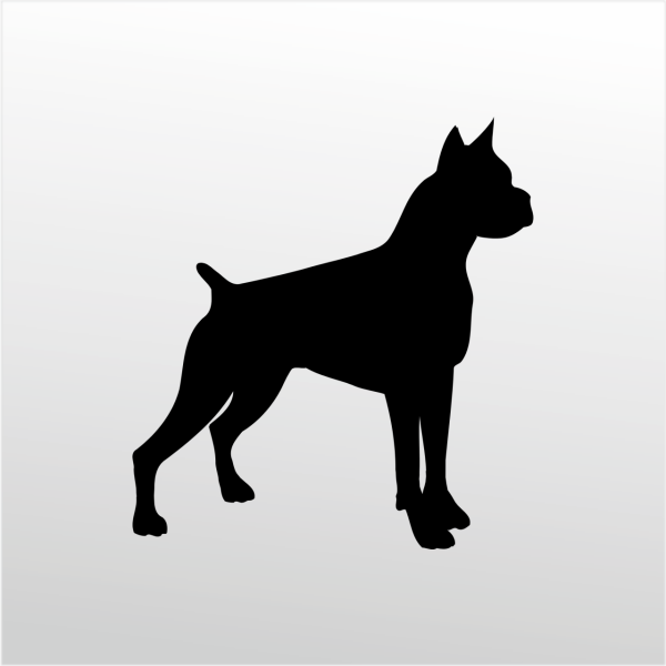 Folyo Sticker Pitbull