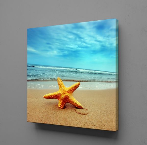 KUMSALDA DENİZ YILDIZI KANVAS TABLO