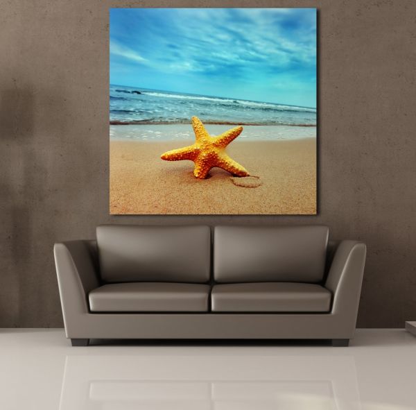 KUMSALDA DENİZ YILDIZI KANVAS TABLO