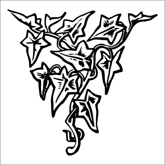 AĞAÇ VE GÜL RESİMLERİ FOLYO STİCKER