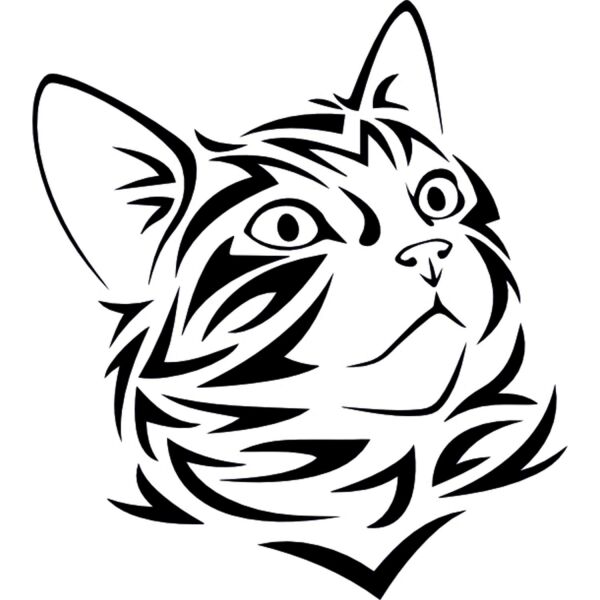 KEDİ  FOLYO STİCKER