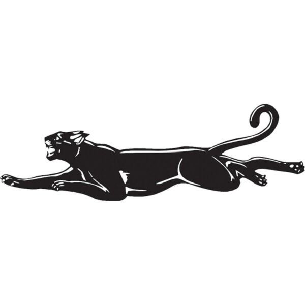 PANTER FOLYO STİCKER