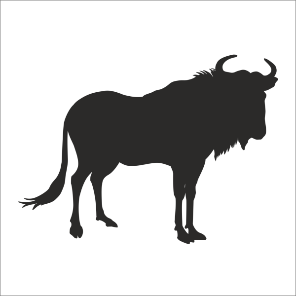 BUFALO FOLYO STİCKER