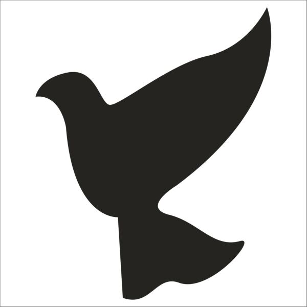 KUŞ FOLYO STİCKER DERSTV927