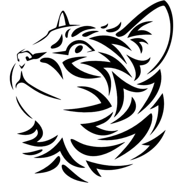 KEDİ FOLYO STİCKER