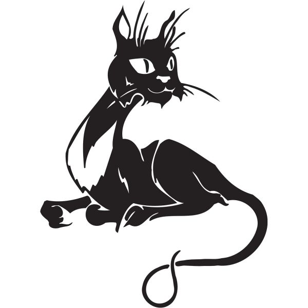 KEDİ FOLYO STİCKER