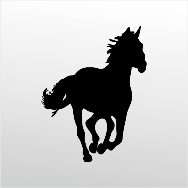 Folyo Stecker At