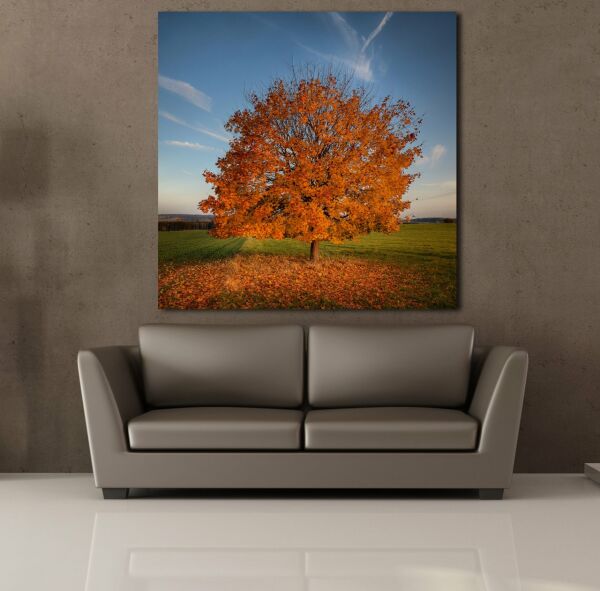 YAPRAKLARI DÖKÜLEN AĞAÇ TEMALI KANVAS TABLO