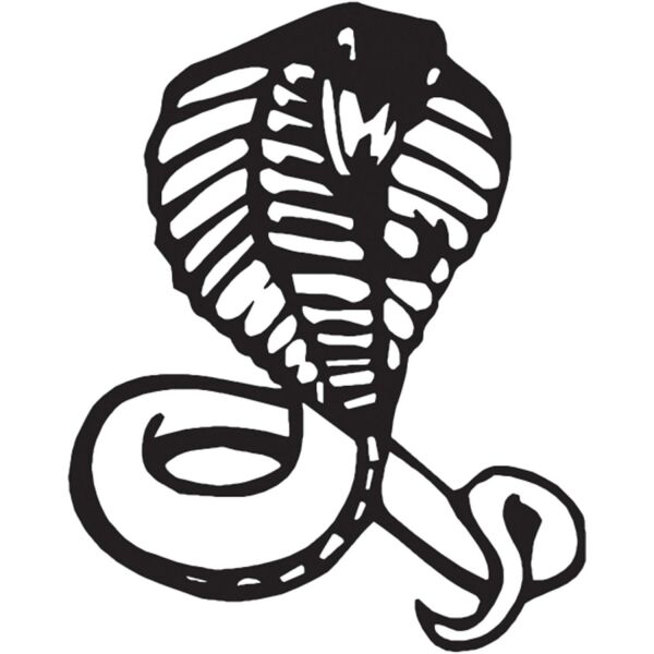 COBRA FOLYO STİCKER