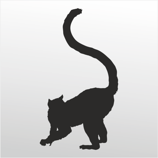 Folyo Sticker Maymun