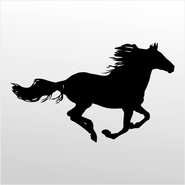 Folyo Sticker At