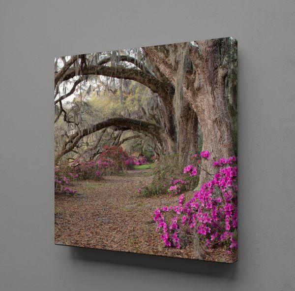 AĞAÇ VE LALELER KANVAS TABLO