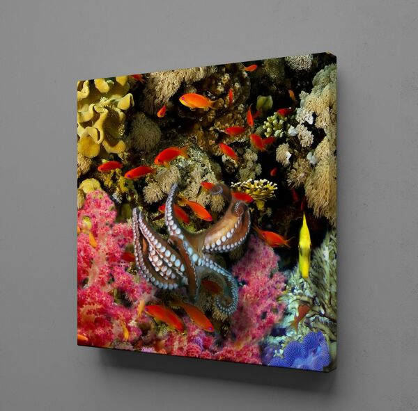 AHTAPOT KANVAS TABLO KANVAS TABLO