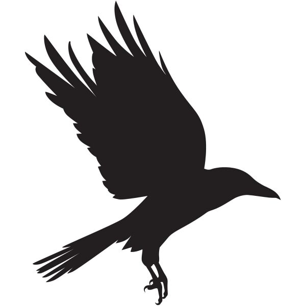 KUŞ FOLYO STİCKER DERSTV931