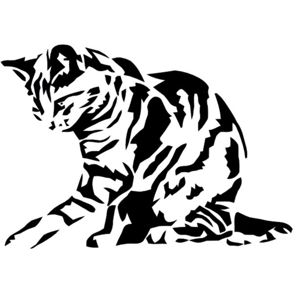 KEDİ FOLYO STİCKER