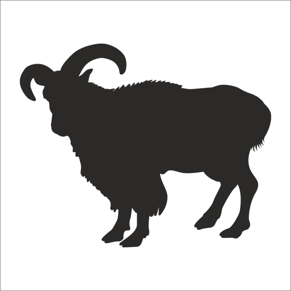 DAĞ KEÇİSİ  FOLYO STİCKER