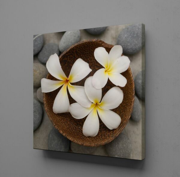 SPA TAŞLARI VE PAPATYA TEMALI KANVAS TABLO